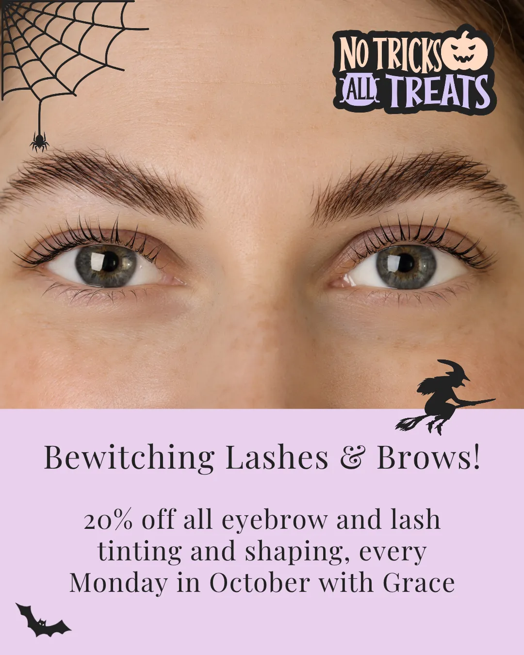 Brow and lash beauty offer